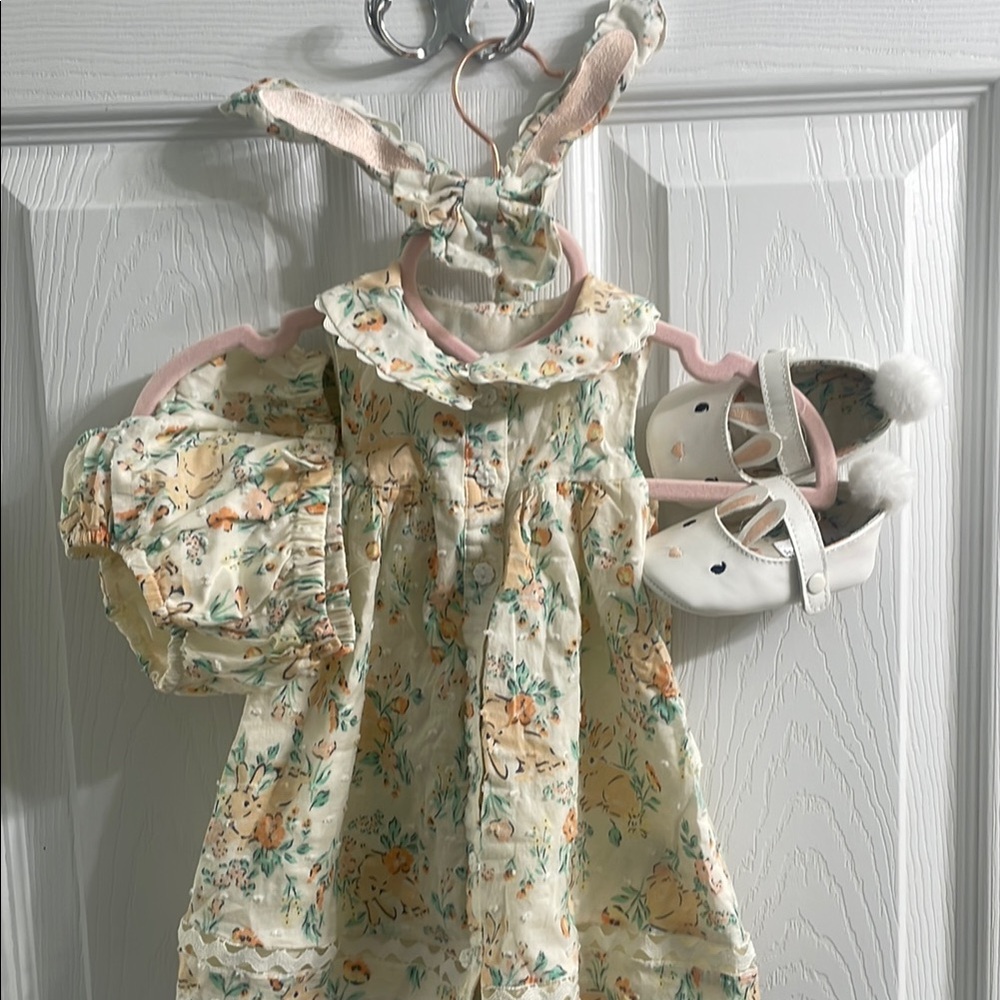 Floral Baby Dress with Matching Shoes